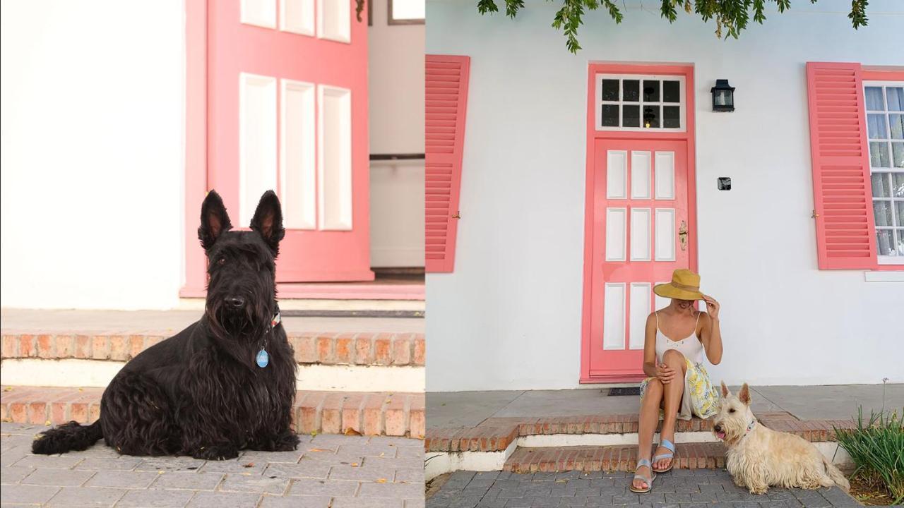 Drostdy Hotel Graaff-Reinet Exteriör bild Scottie dogs